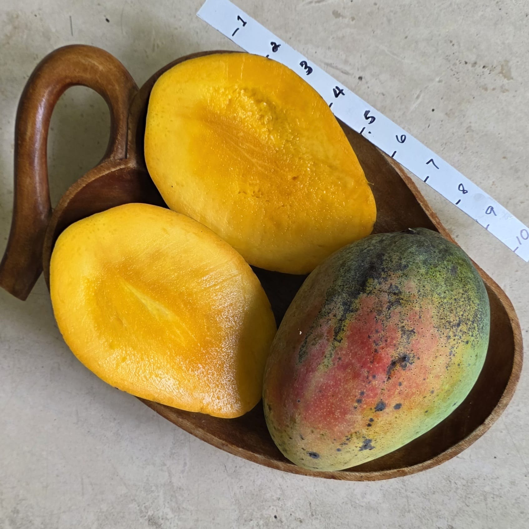 Fruit Variety Picture